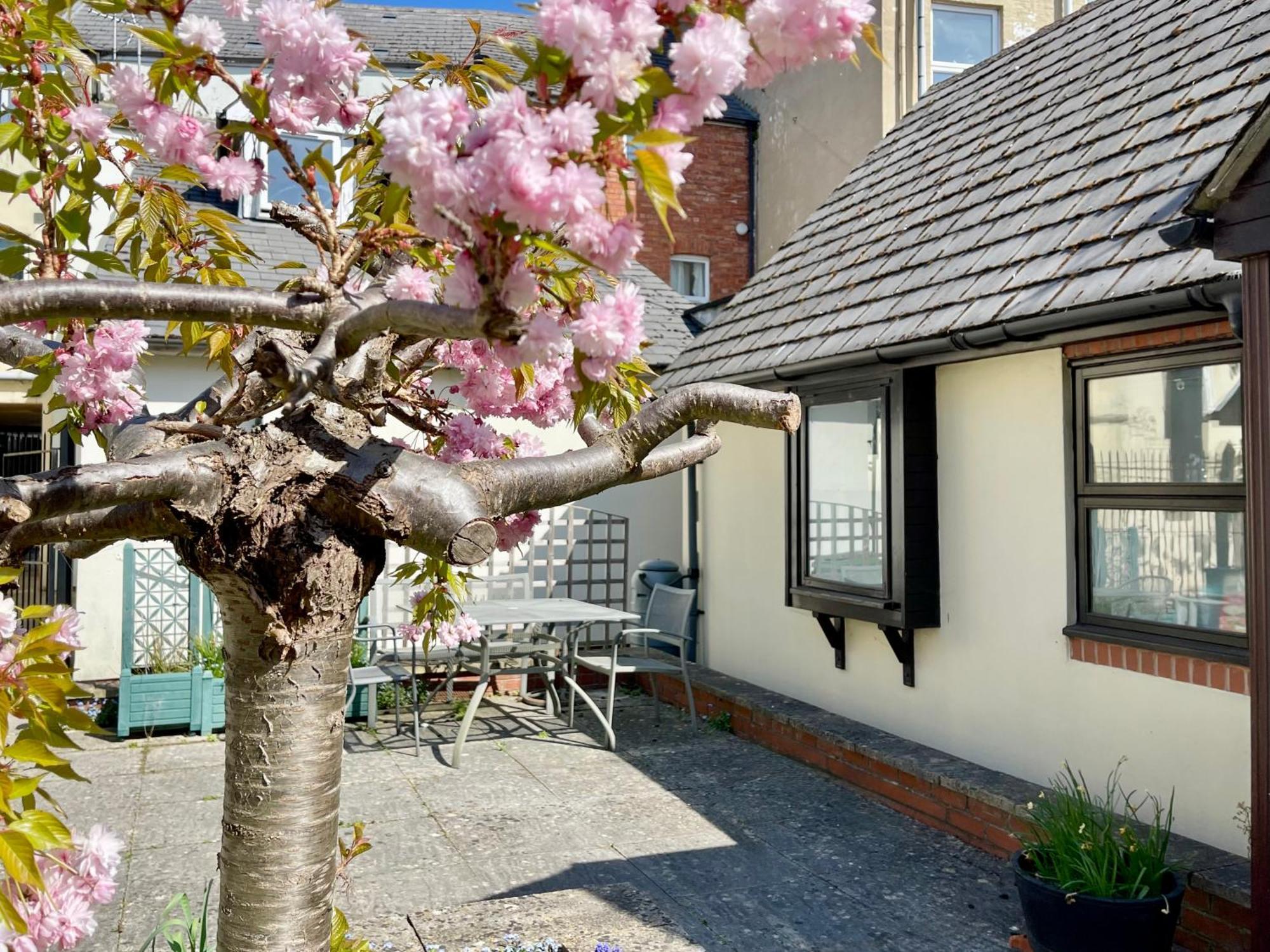 Vernon Place Town Centre, Vernon Cottage 3-Bed With Parking, 1A Vernon Court 2-Bed With Parking, 1B Studio No Parking, Off The High Street Next To Sandford Park Cheltenham Ngoại thất bức ảnh